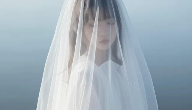 五步检查要点,提升会议接待服务处理效率